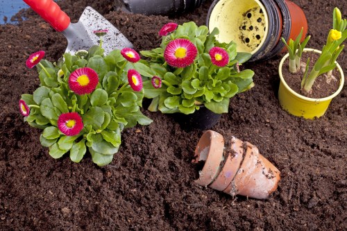 Landscape gardeners in Belmont designing a residential outdoor space