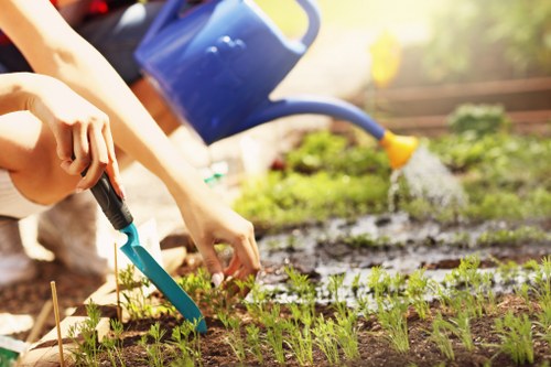 Belmont landscaping pricing explained with transparent quote details