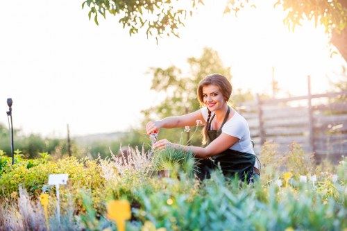 Professional planting services in Belmont for residential landscapes