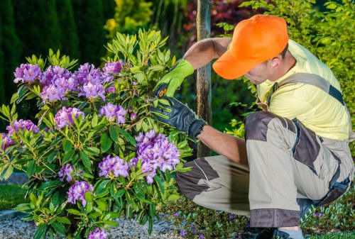 Landscapers Belmont staff promoting ethical workplace standards