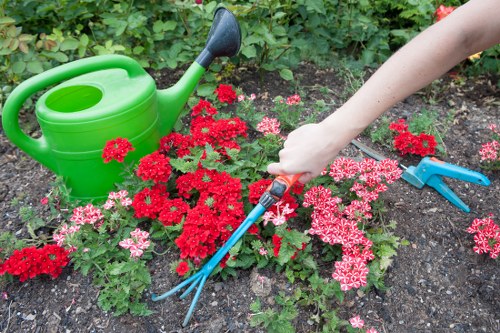 Belmont front garden makeover with attractive curb appeal