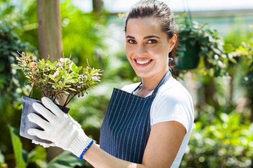 Supplier compliance review for Belmont landscaping operations