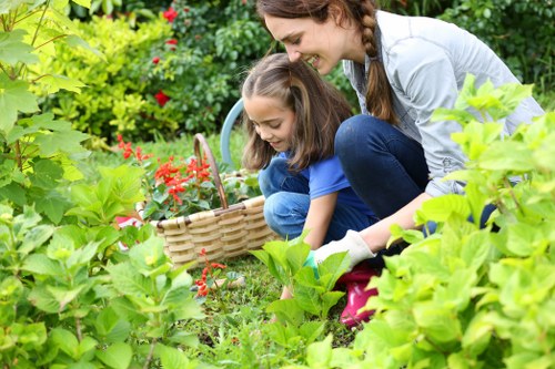 Seasonal lawn care in Belmont showing turf maintenance and outdoor yard care