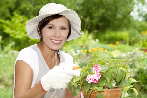Professional lawn care in Belmont supporting a lush, well-kept yard