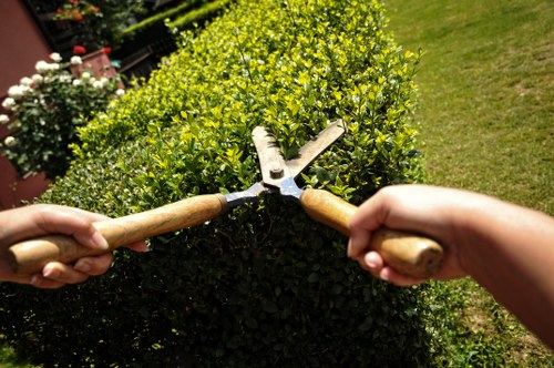 Ongoing accessibility improvements for landscapers in Belmont