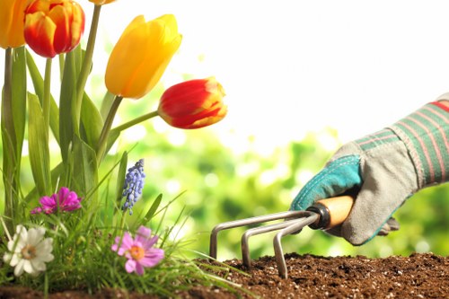 Healthy lawn care as part of garden maintenance in Belmont