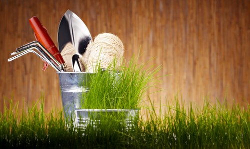 Native planting ideas for Belmont gardens