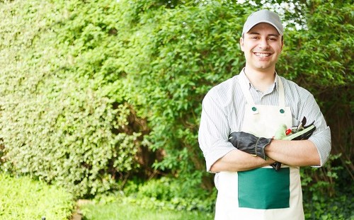 Annual review of modern slavery controls in Belmont landscaping