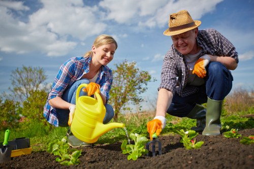 Collection of green waste and garden debris during clearance
