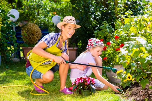 Modern landscaping in Belmont with hardscaping and lawn areas