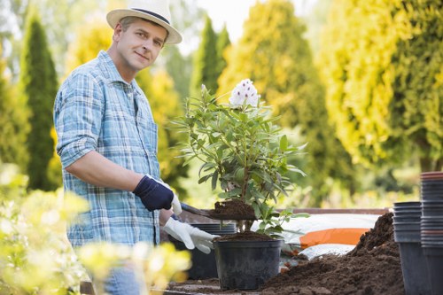 Screen reader support for accessible landscaping content