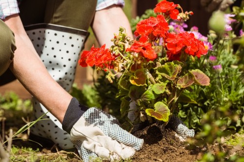 Mixed shrubs and flowers installed by Belmont planting experts