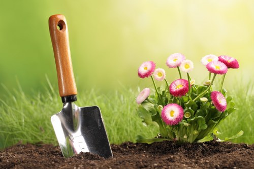 Professional garden maintenance in Belmont including pruning and weed control