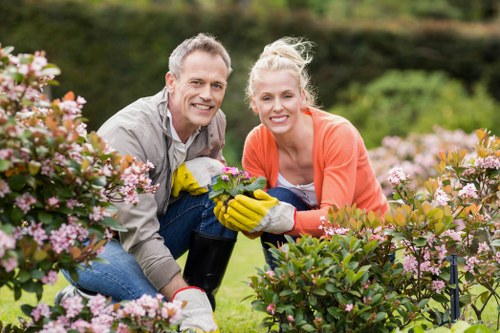 Mulching and weed control in a Belmont garden